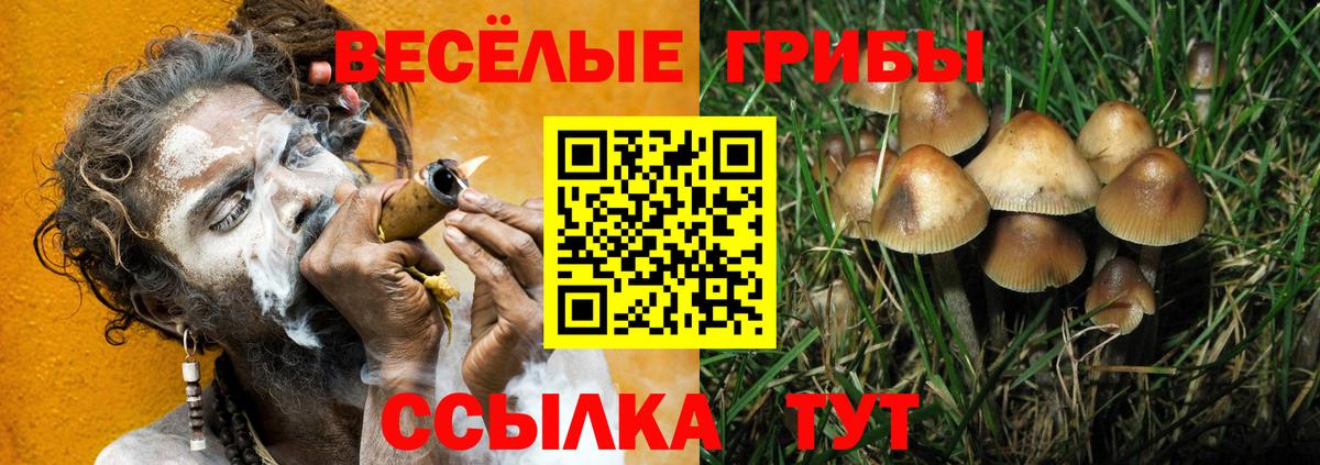 Арзамас  Галлюциногенные грибы ЛСД  Вход с VPN 
