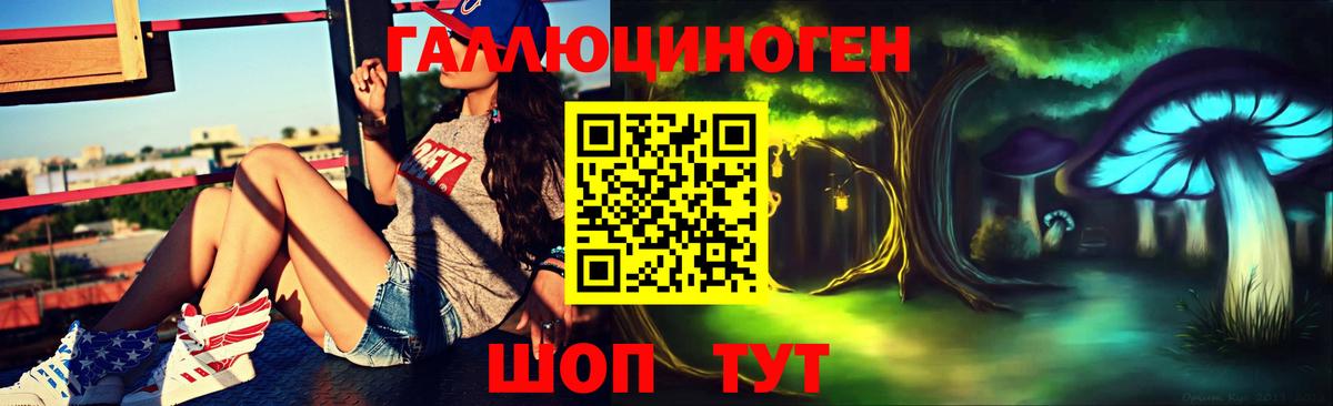Галлюциногенные грибы Psilocybe Арзамас